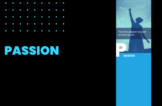 Passion Value Cebi Group