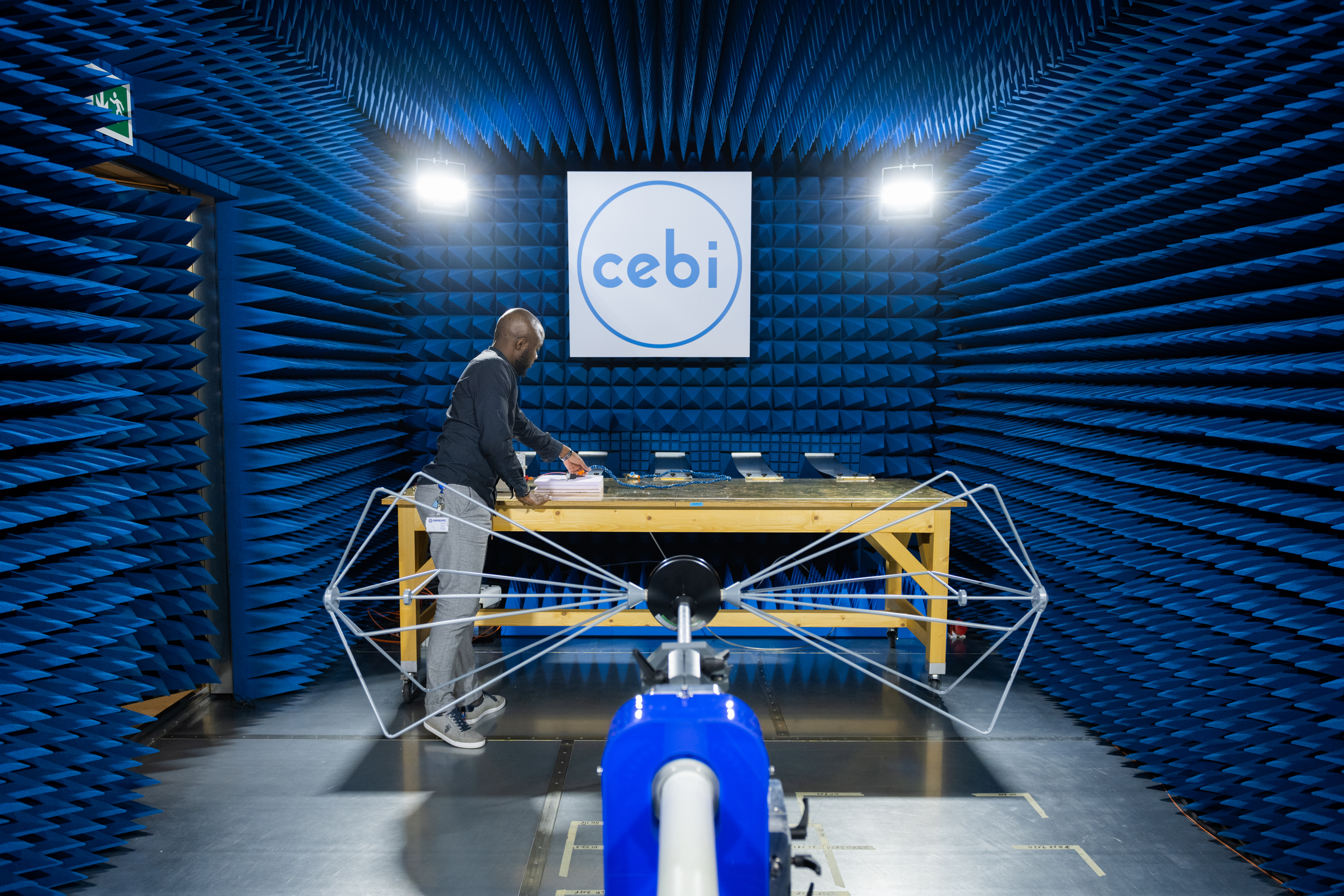 Cebi Testing Services EMC