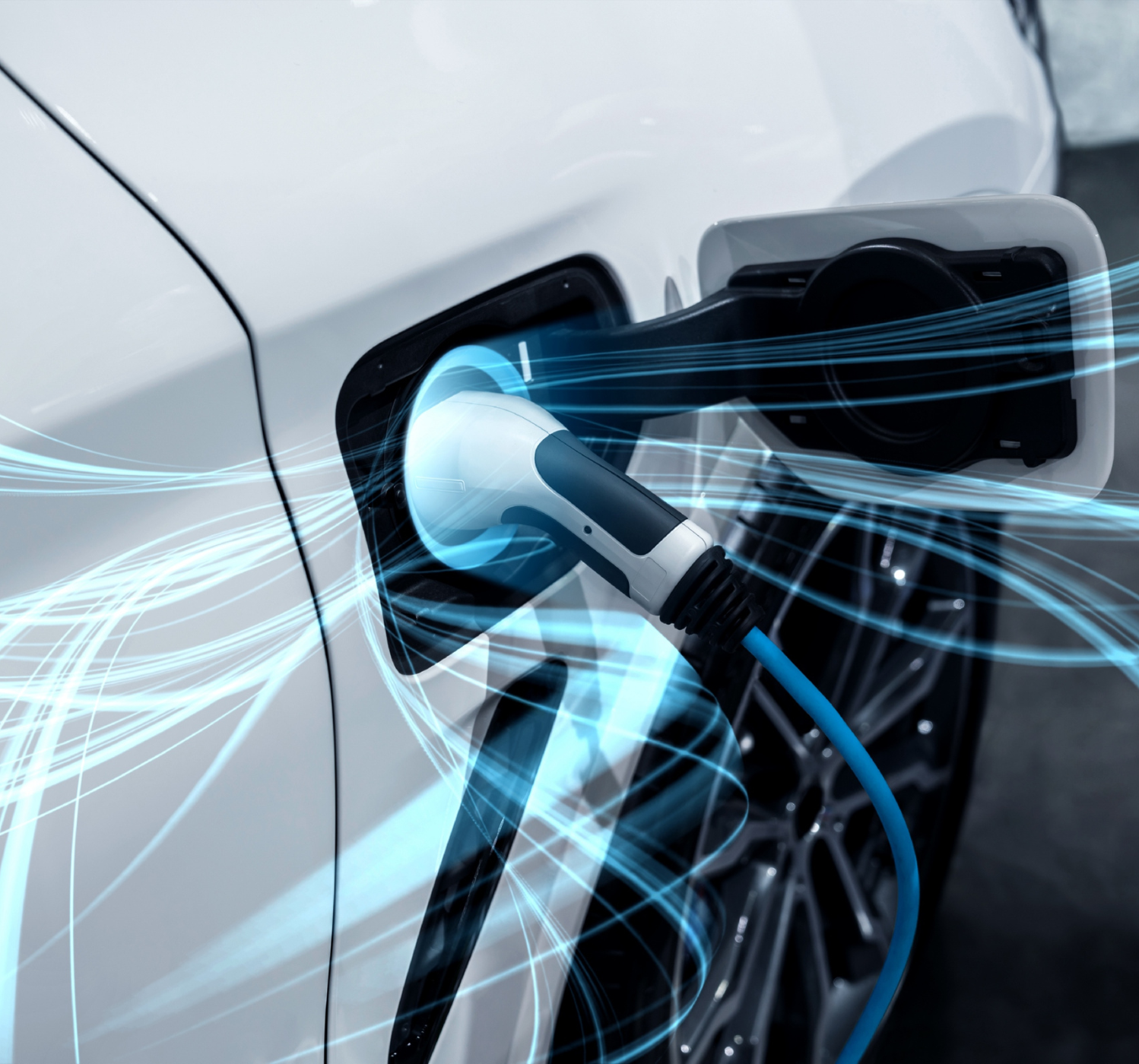 Electric & Hydrogen Fuel Cell